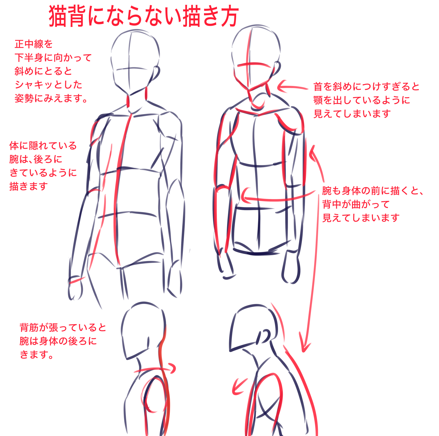 根本先生回答4：猫背にならない描き方