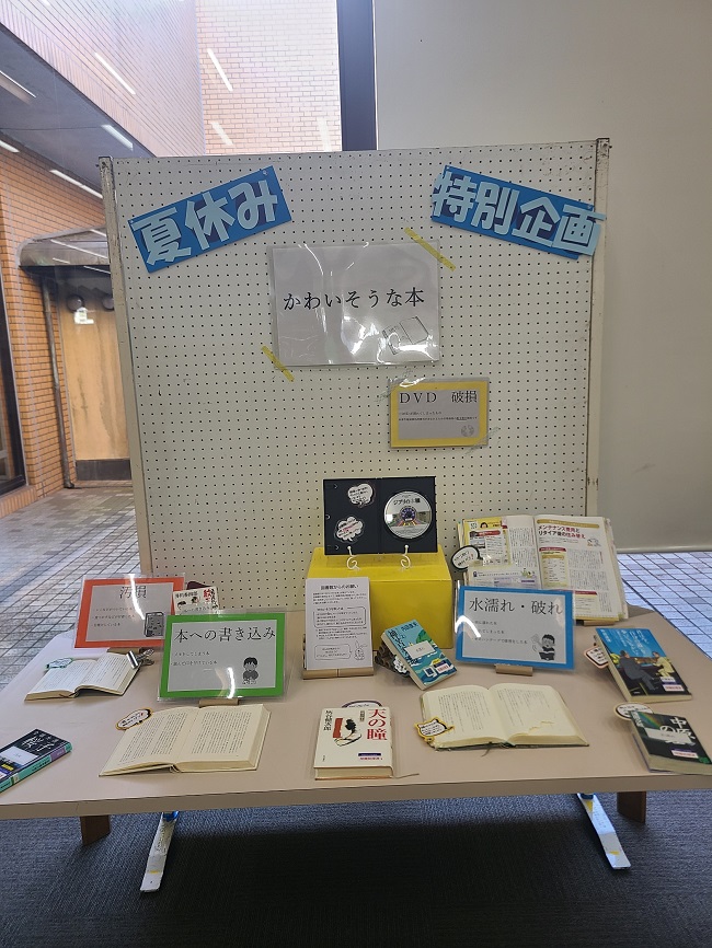 展示画像